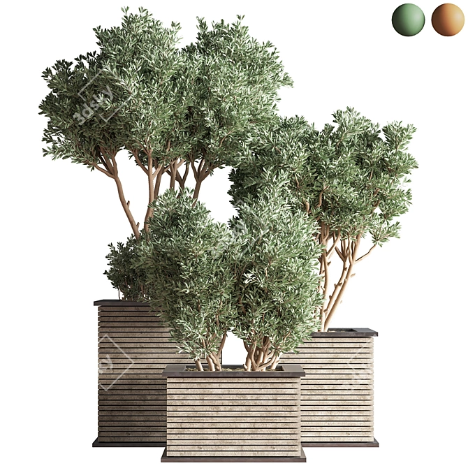 Outdoor Oasis Tree - Lifelike outdoor plant for a refreshing ambiance. 3D model image 2