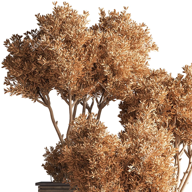 Outdoor Oasis Tree - Lifelike outdoor plant for a refreshing ambiance. 3D model image 3