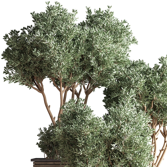 Outdoor Oasis Tree - Lifelike outdoor plant for a refreshing ambiance. 3D model image 4