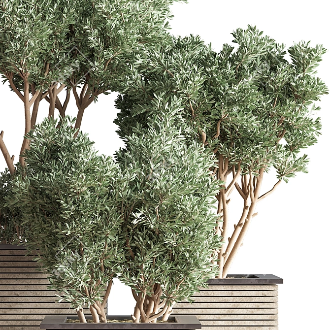 Outdoor Oasis Tree - Lifelike outdoor plant for a refreshing ambiance. 3D model image 6