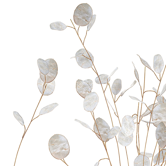 Elegant Dried Flower Bouquet 3D model image 3