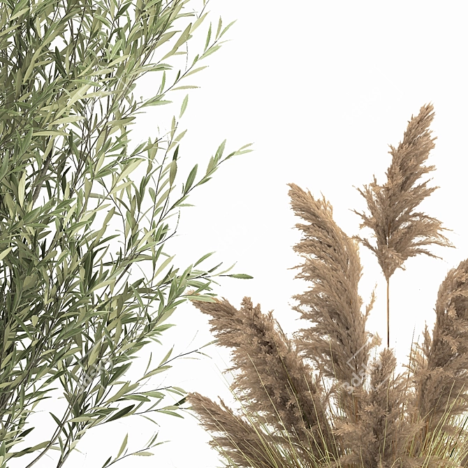 Exotic Plant Collection: Decorative Trees, Reed Grass, and Olive Trees 3D model image 5