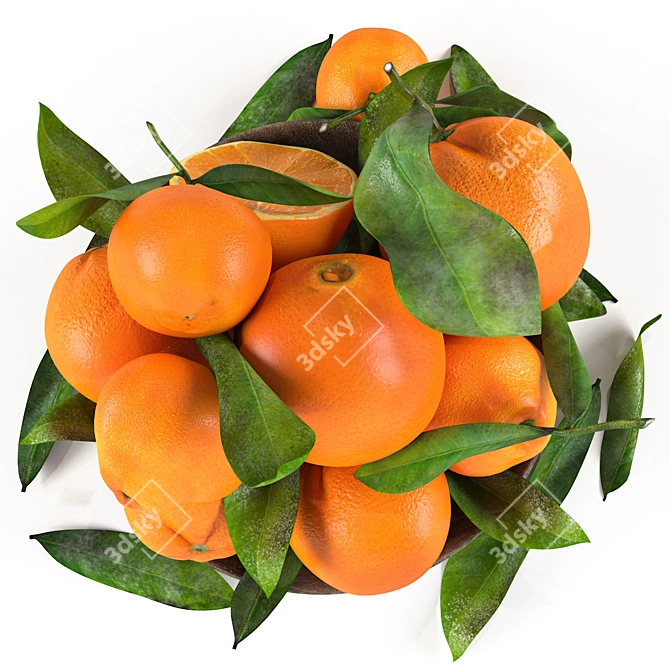 Citrus Delight Bowl: 3D Model Formats 3D model image 7