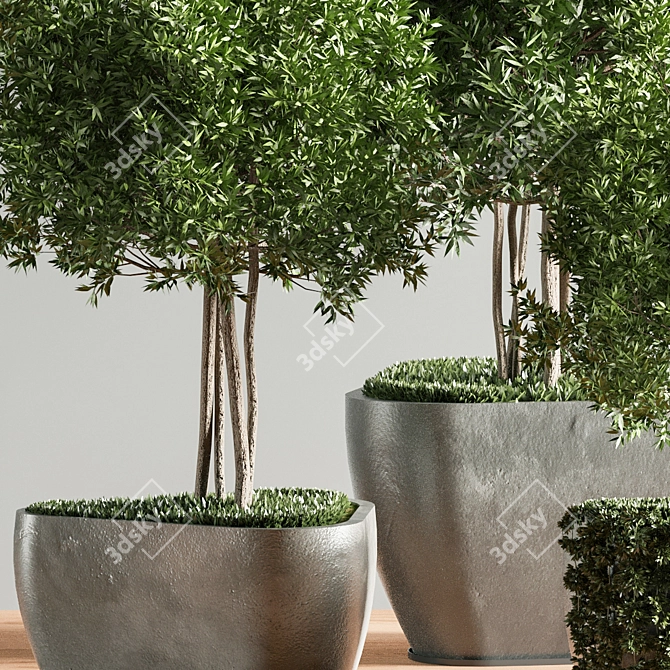 Tropical Plant Set for Gorgeous Interiors 3D model image 5