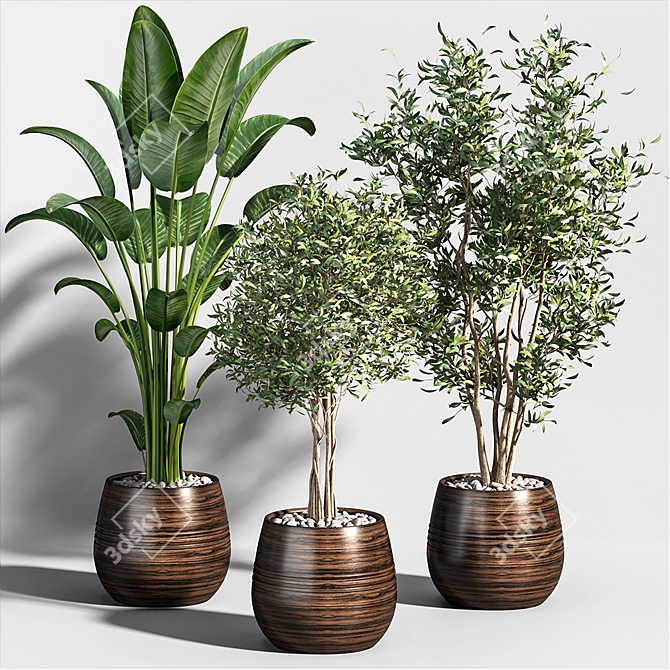 Tropical Greenery Collection 3D model image 1