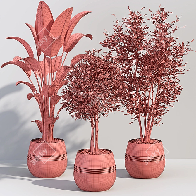 Tropical Greenery Collection 3D model image 2