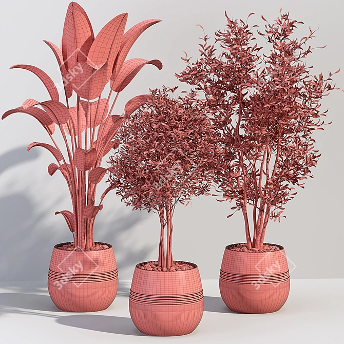 Tropical Greenery Collection 3D model image 7