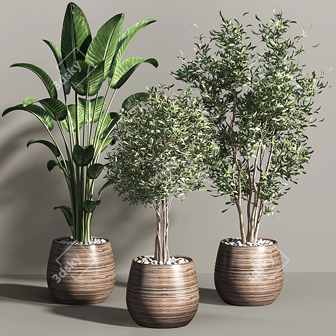 Tropical Greenery Collection 3D model image 10