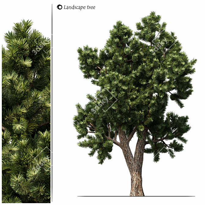 Nature's Haven: Exquisite Landscape Tree 3D model image 5