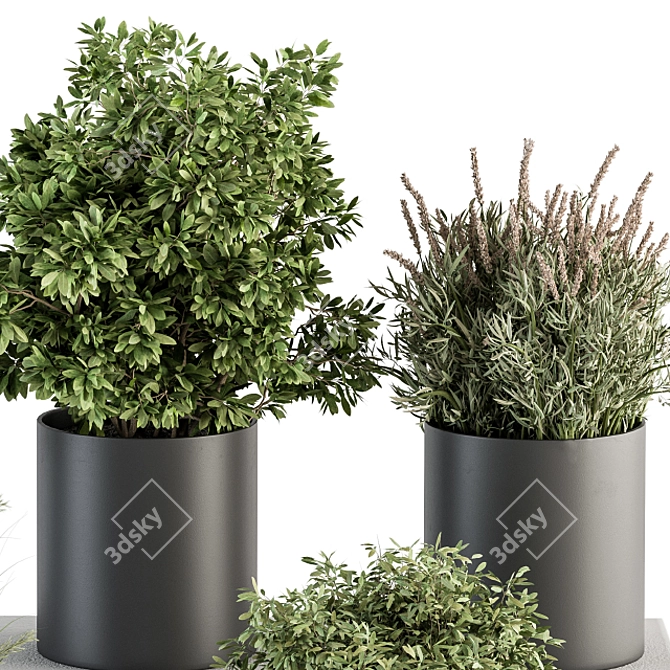 305 Indoor Plant Set: Small Pot 3D model image 2