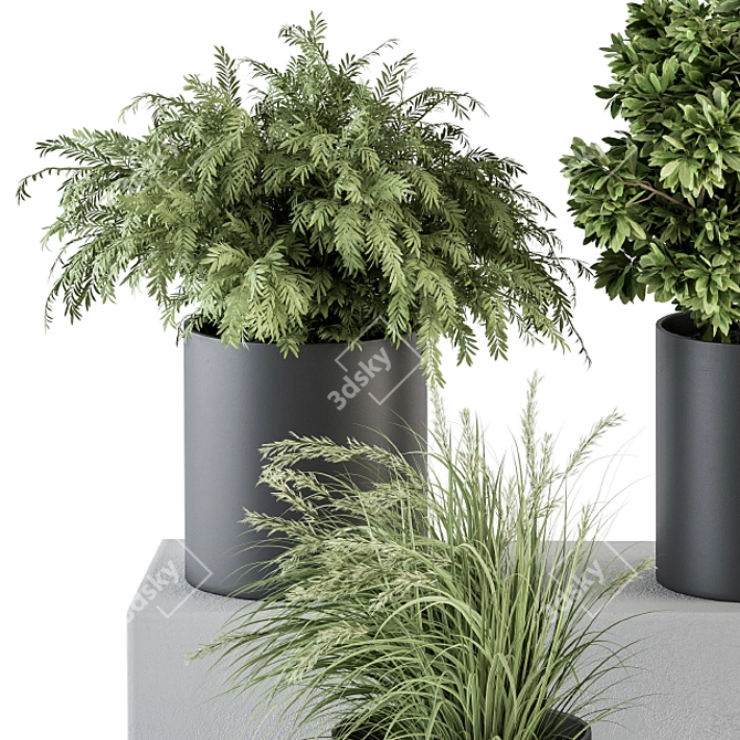 305 Indoor Plant Set: Small Pot 3D model image 3