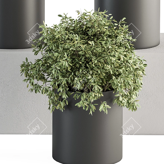 305 Indoor Plant Set: Small Pot 3D model image 4