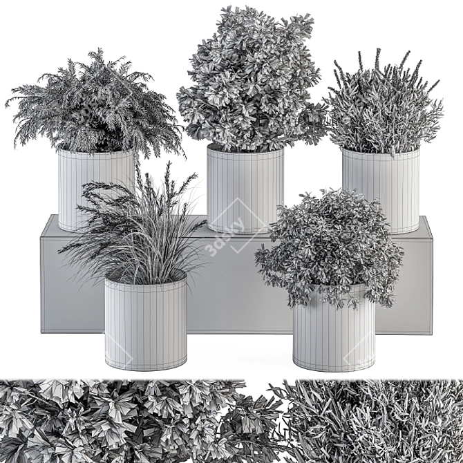 305 Indoor Plant Set: Small Pot 3D model image 5