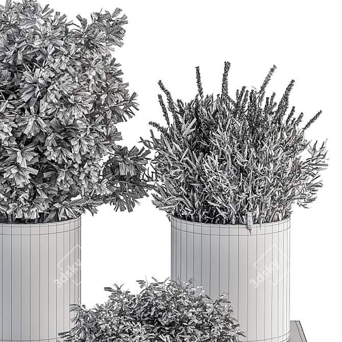 305 Indoor Plant Set: Small Pot 3D model image 6