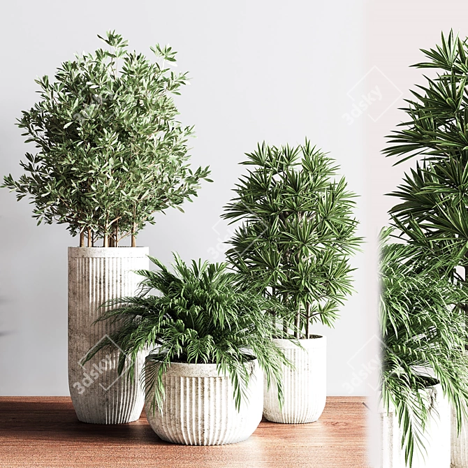 Modern Indoor Plant Set 3D model image 3