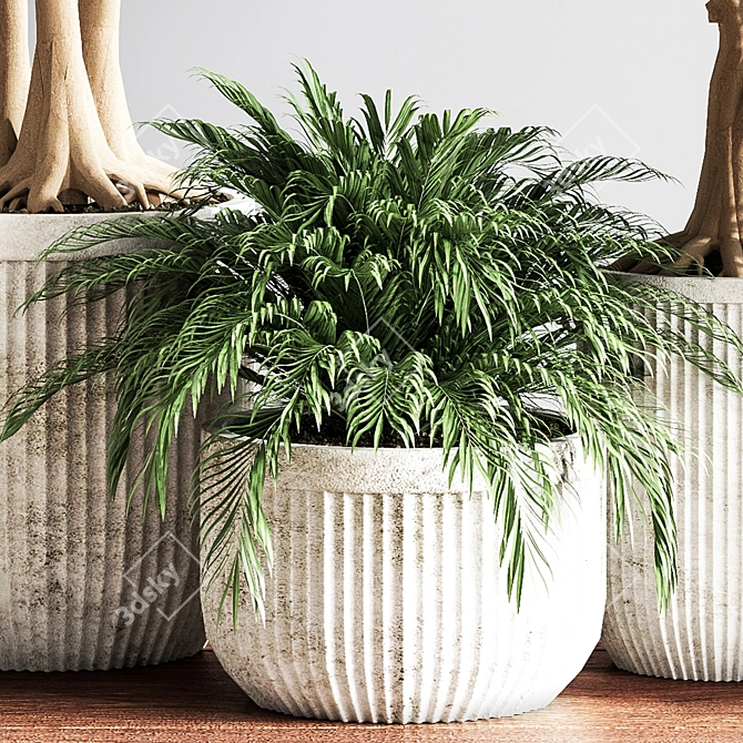 Modern Indoor Plant Set 3D model image 5