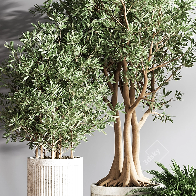 Modern Indoor Plant Set 3D model image 8