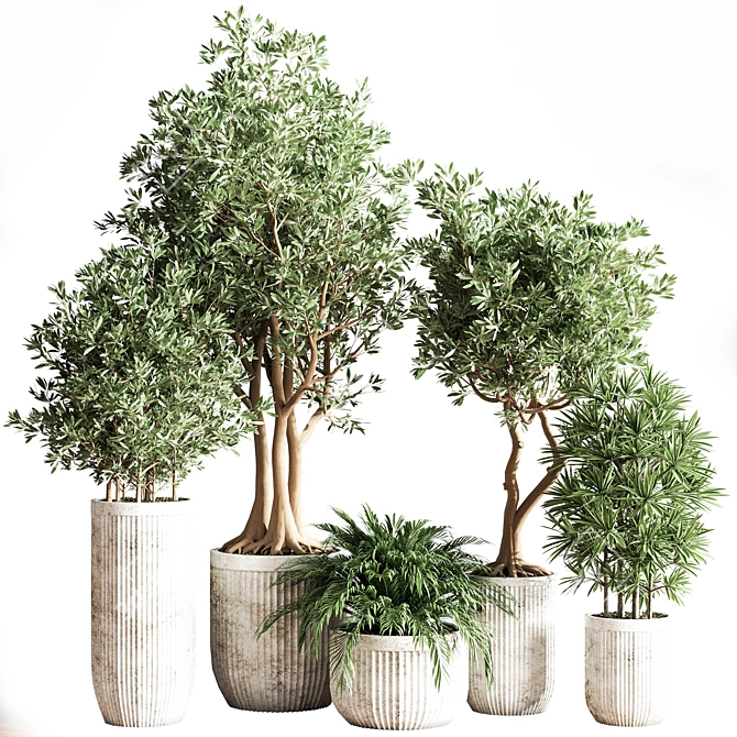 Modern Indoor Plant Set 3D model image 10