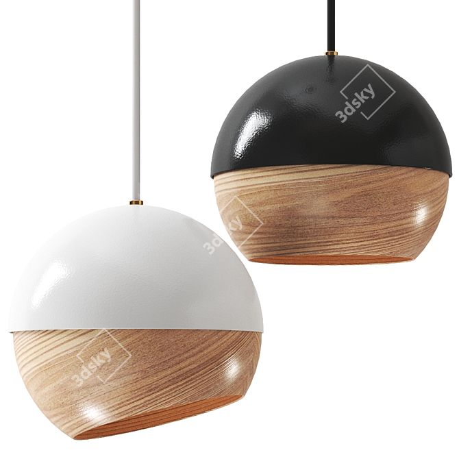 Ray Pendant Lamp: Modern Elegance in Two Colors 3D model image 2