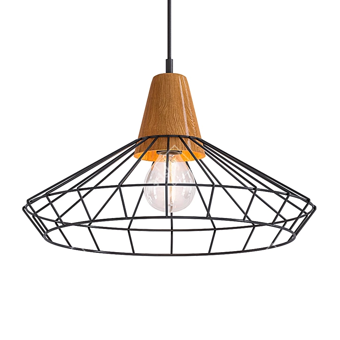 Nordic Hanging Cage Lamp 3D model image 1