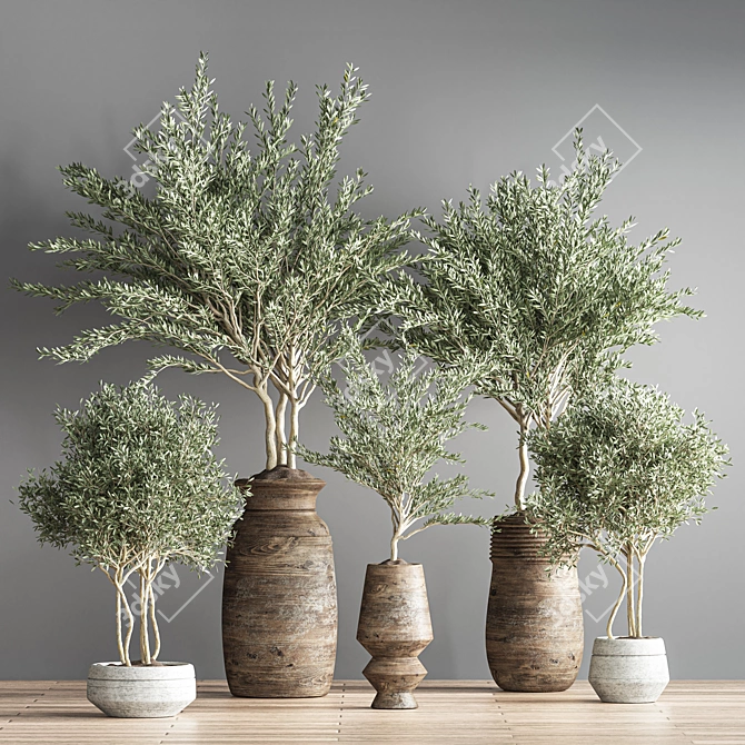 Lush 18-Piece Indoor Plant Set 3D model image 2
