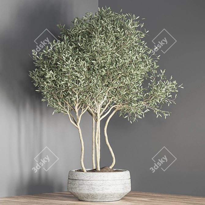 Lush 18-Piece Indoor Plant Set 3D model image 5