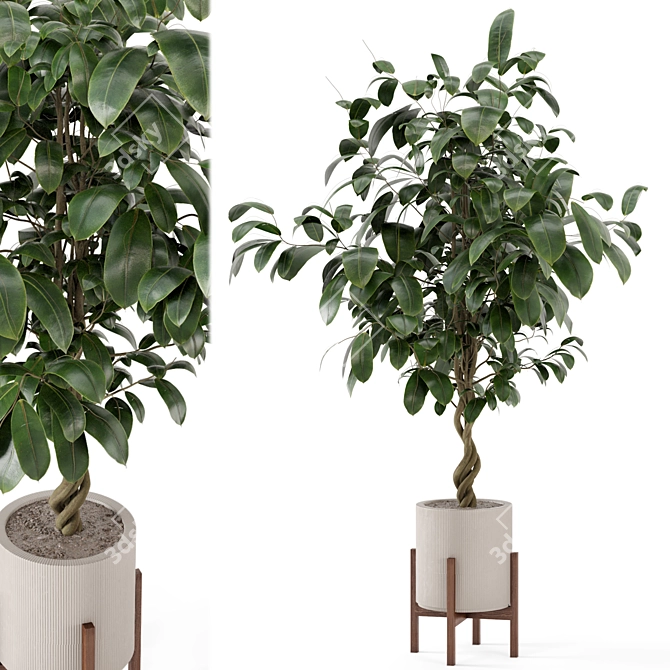 Wood & Concrete Indoor Plant Set 3D model image 1