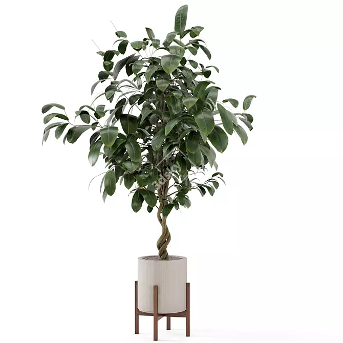 Wood & Concrete Indoor Plant Set 3D model image 5