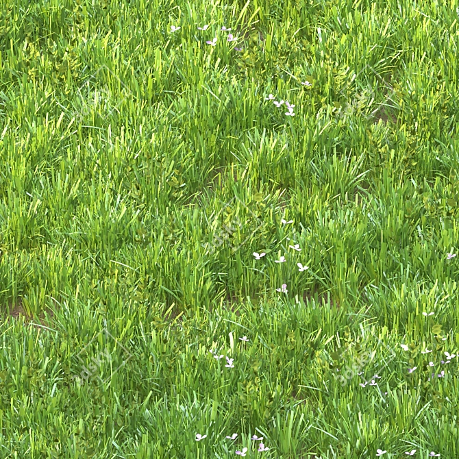 Green Bliss: Realistic Grass for Stunning Landscapes 3D model image 1