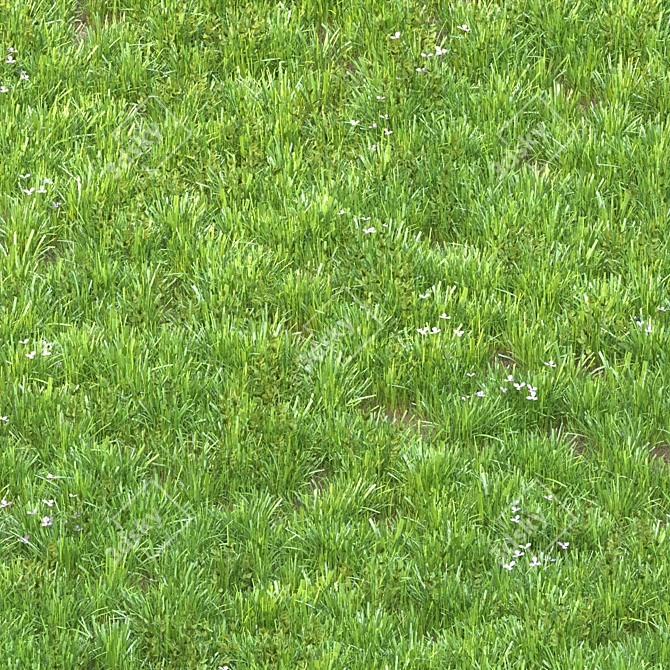 Green Bliss: Realistic Grass for Stunning Landscapes 3D model image 2