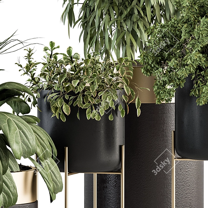 Elegant Greenery: Black & Gold Indoor Plant Set 3D model image 2