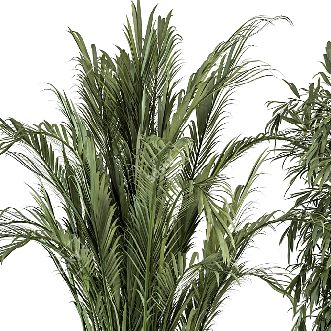 Elegant Greenery: Black & Gold Indoor Plant Set 3D model image 3