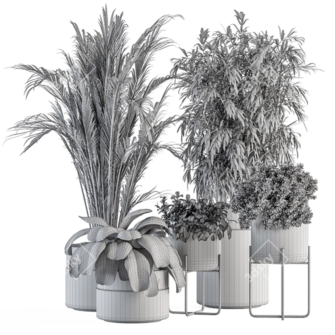 Elegant Greenery: Black & Gold Indoor Plant Set 3D model image 5