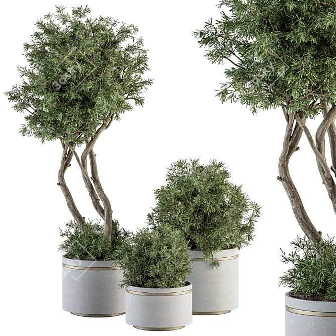 Evergreen Needle Tree & Bush Set 3D model image 1