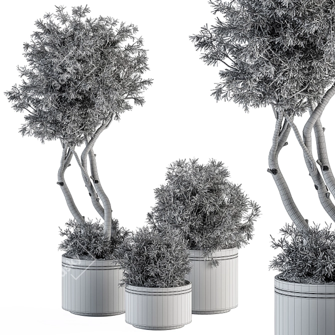 Evergreen Needle Tree & Bush Set 3D model image 4