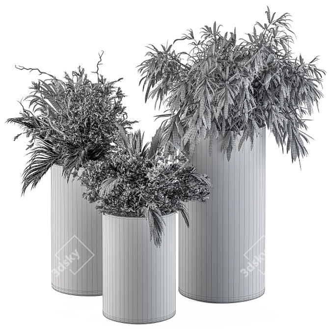 Concrete Pot Plant Set 3D model image 5