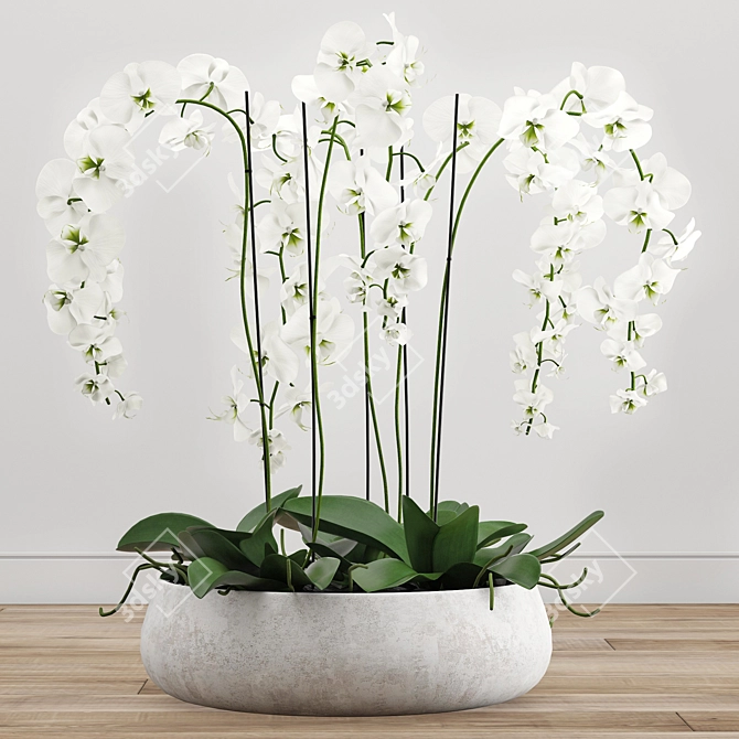 Elegant Orchid Arrangement: 3D Model 3D model image 3