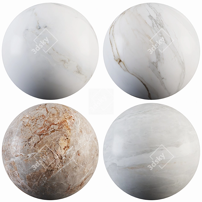 Luxury Marble Collection: Gray, White, Stain & Breccia 3D model image 1