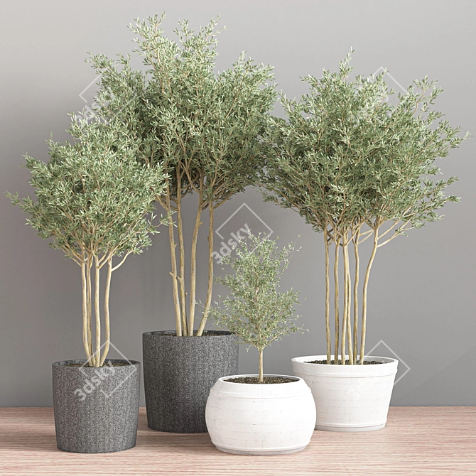 Green Oasis Indoor Plant Set 3D model image 2