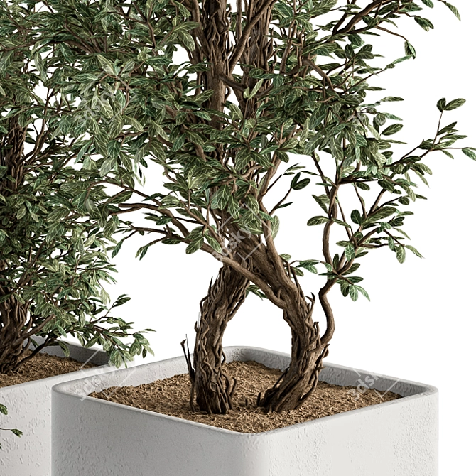 Concrete Pot Plant Set 3D model image 3