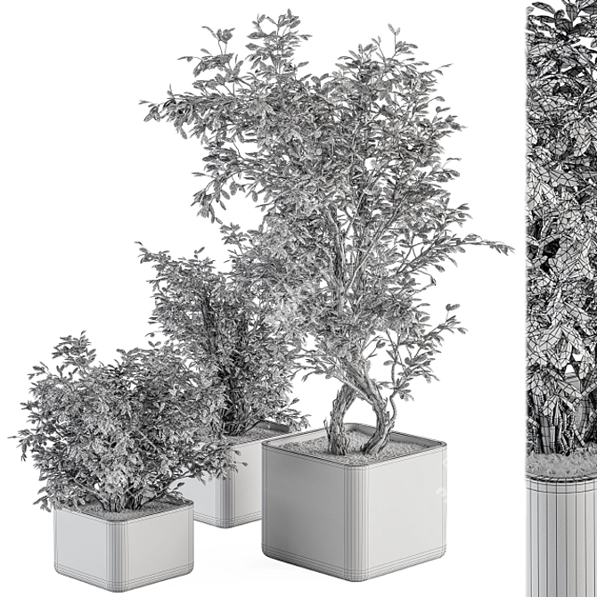 Concrete Pot Plant Set 3D model image 4