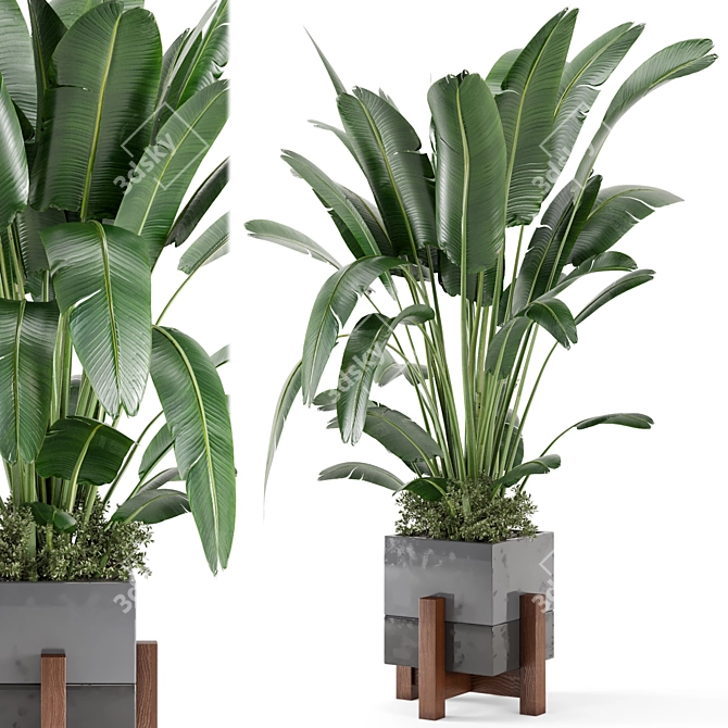 Rustic Concrete Pot Indoor Plants 3D model image 1