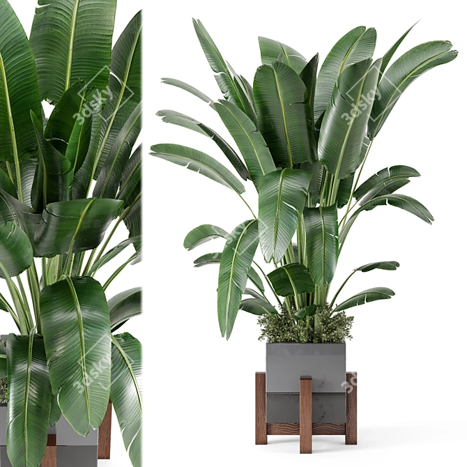 Rustic Concrete Pot Indoor Plants 3D model image 2