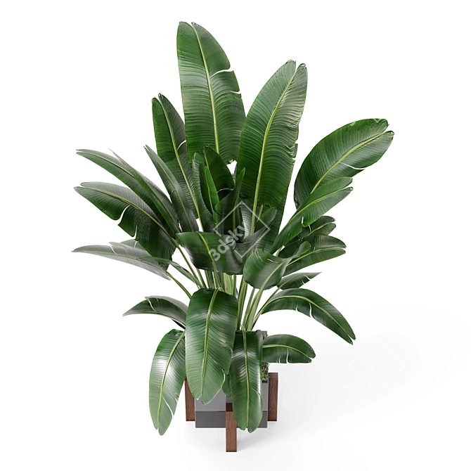 Rustic Concrete Pot Indoor Plants 3D model image 3