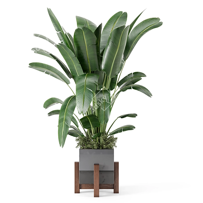 Rustic Concrete Pot Indoor Plants 3D model image 5