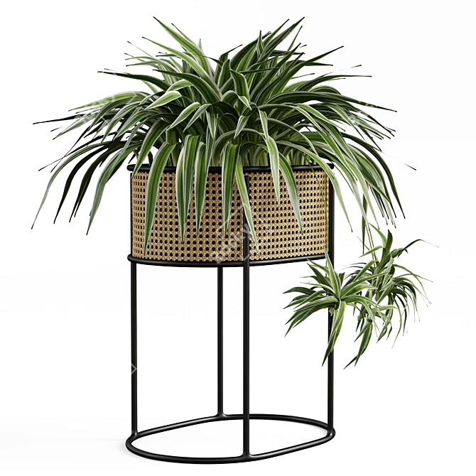 Vintage-Inspired Woven Caning Planter 3D model image 5