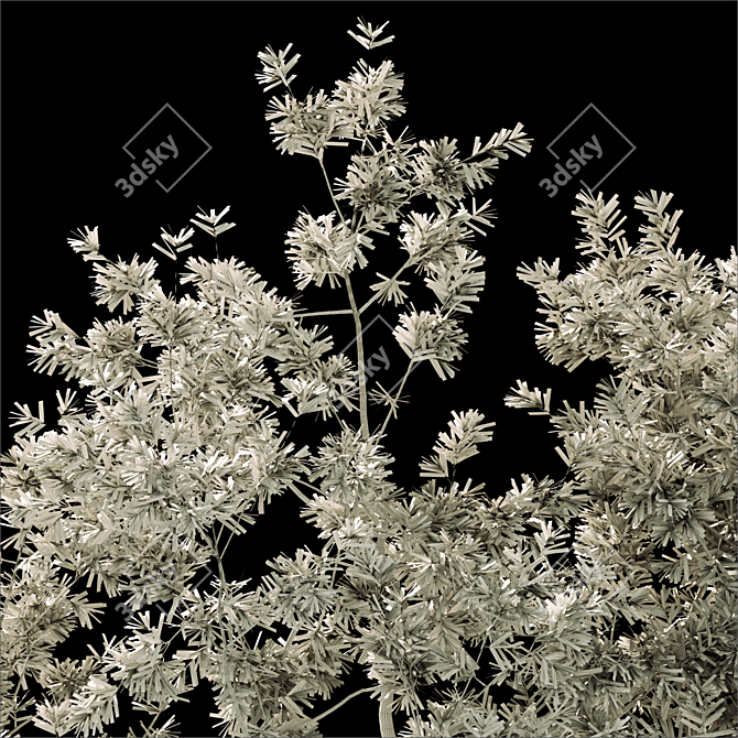 2014 Landscape Tree - 12m Height, Corona Render 3D model image 3