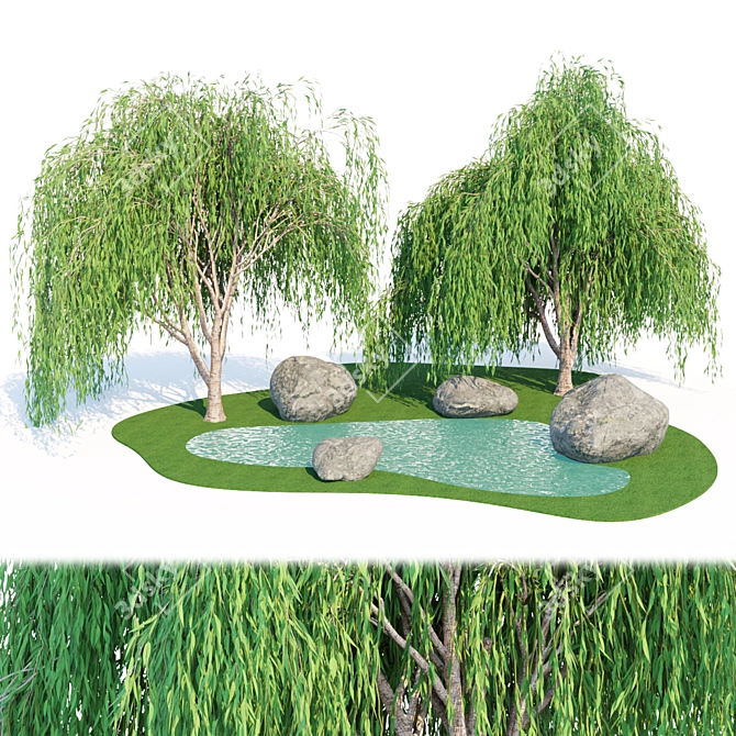 Premium Quality Willow Trees Collection 3D model image 4