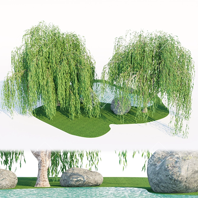 Premium Quality Willow Trees Collection 3D model image 5