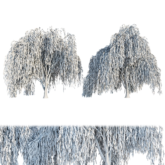 Premium Quality Willow Trees Collection 3D model image 6